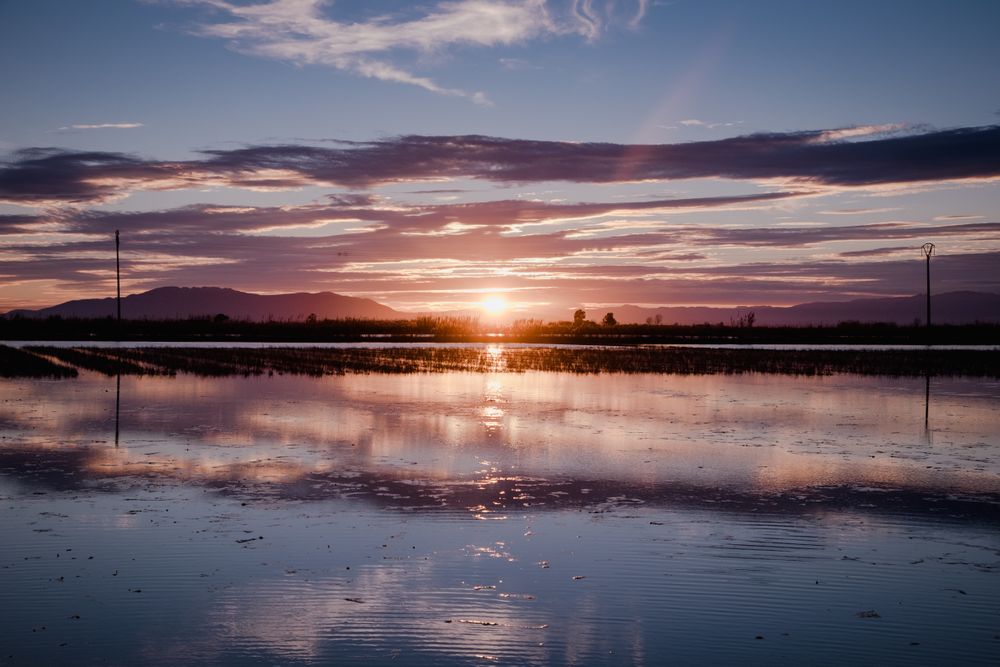 Beautiful sunset over river delta