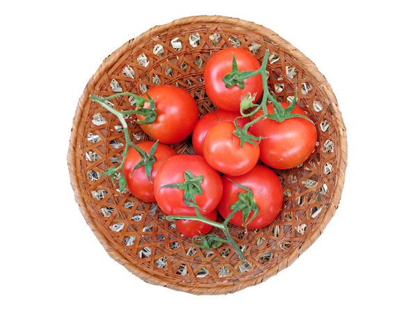 Tomatoes In The Kitchen On Blank Background