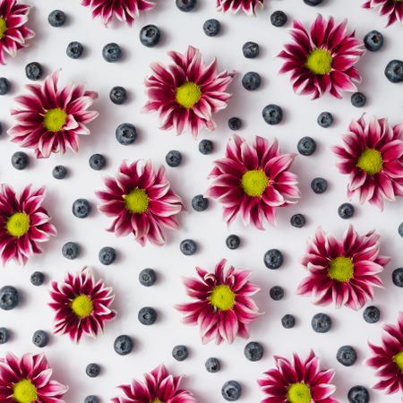 Dark red flower and blueberries pattern on light background