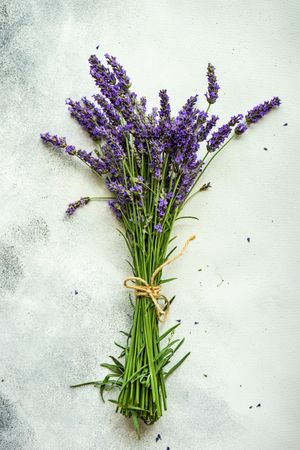 Fresh lavender flowers on a marble counter