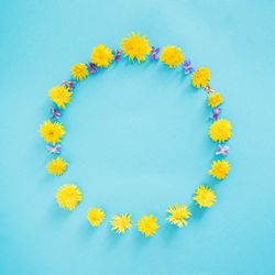 Pattern of yellow & purple spring flowers in circle shape