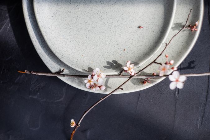 Top view of spring table setting with blooming tree branch