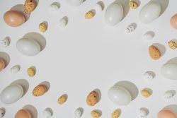 Natural shades of eggs bordering light  background