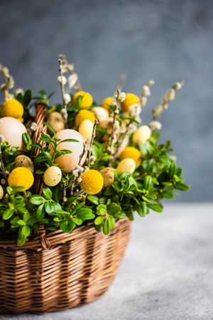 Side view of Easter card concept with fresh basket of greenery with decorative eggs