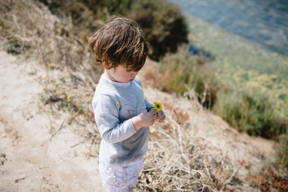 Child looking at flower in hands in mountains with interest
