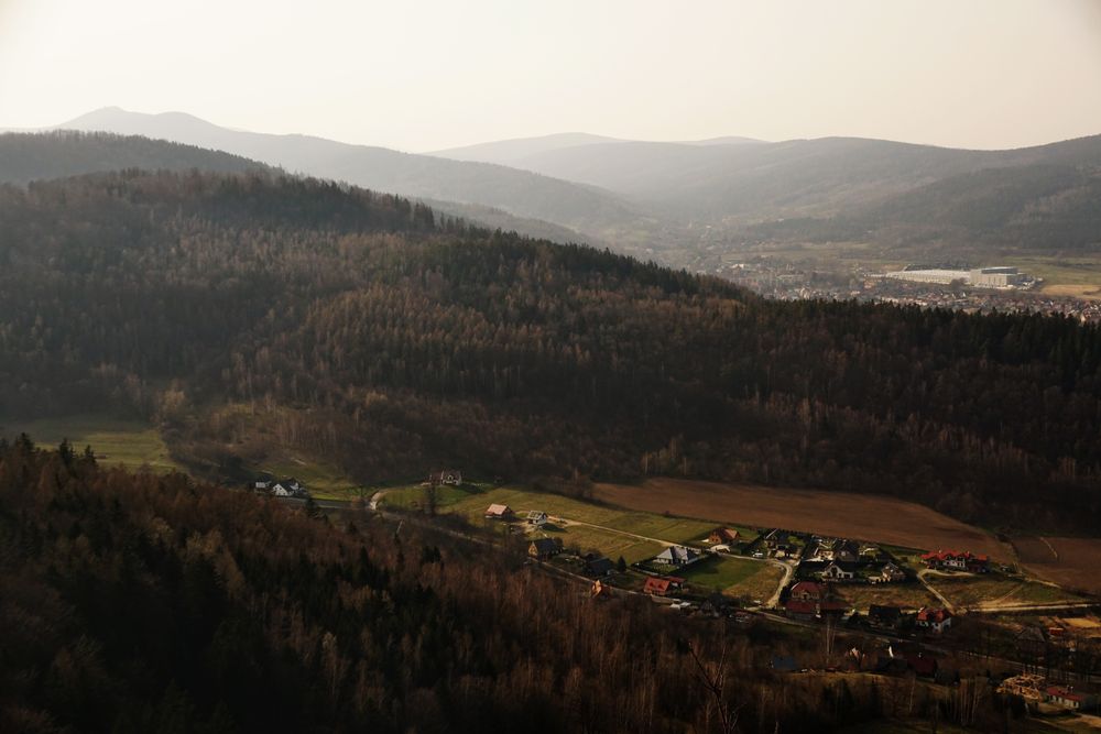 Picturesque view of village surrounded by woods