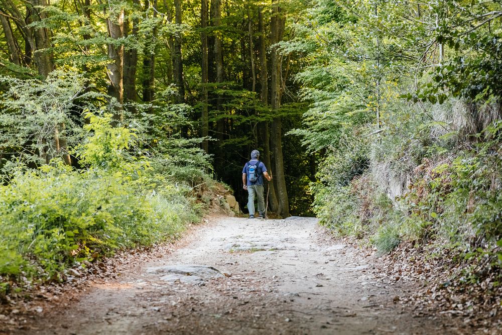 Man walking on the mountain