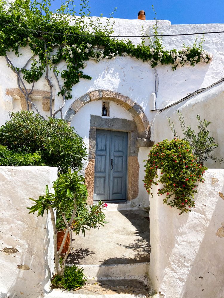 Patmian door with Bougainvillea