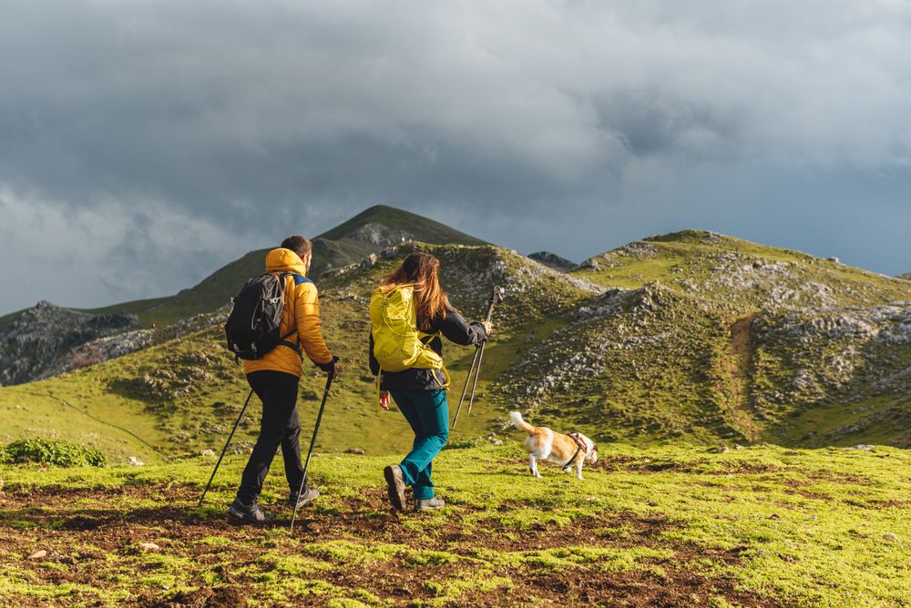 hiking in the high mountains
