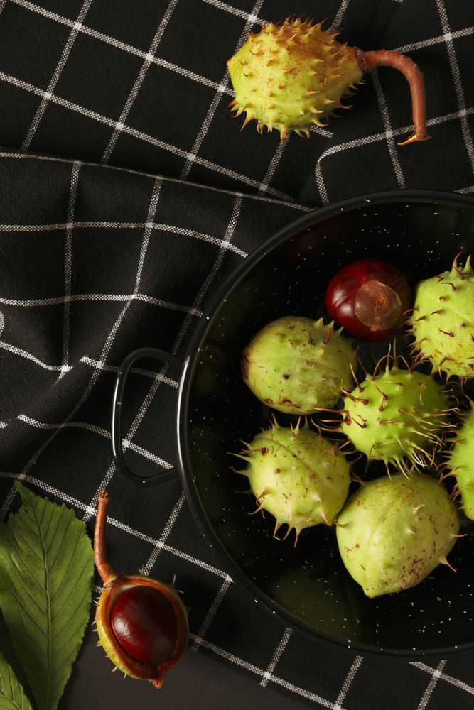 Fresh and ripe chestnuts, top view, Autumn chestnuts