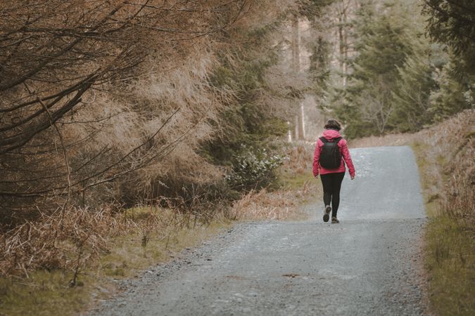 Tourist walking on footpath in forest park