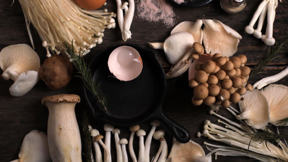 Various Mushroom