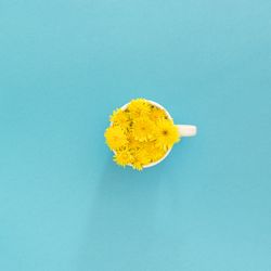 Mug with yellow flowers in water