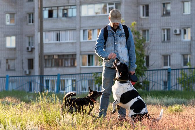 Man rewarding hound while dog watches in urban park.