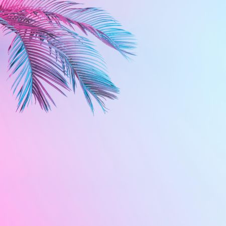 Tropical palm leaves in vibrant bold gradient blue and pink holographic neon colors