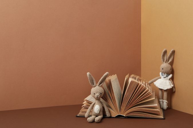 Concept of baby book, space for text