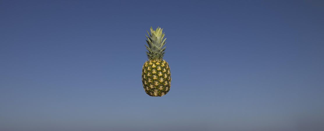 Floating pineapple in sky