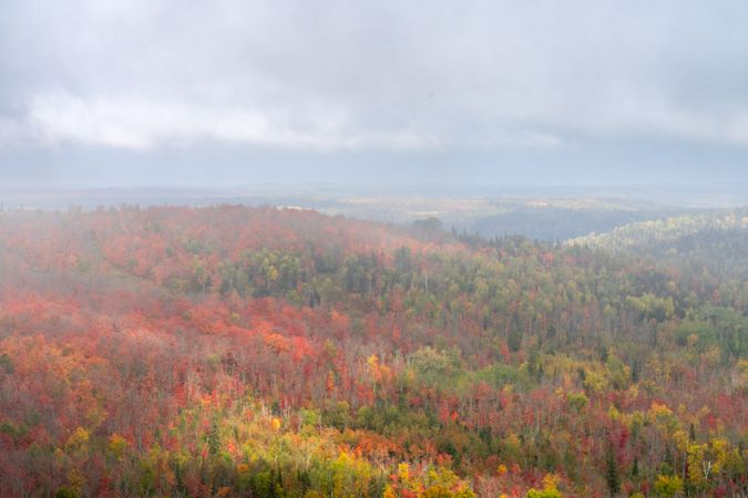 Vast view of colorful fall forest