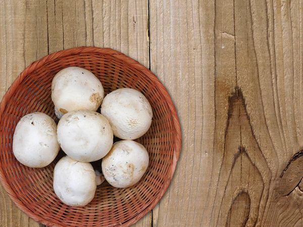 mushrooms