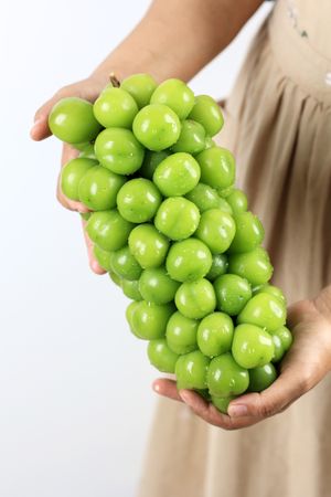 Two Hands are Holding a Group of Shine Muscat Grape