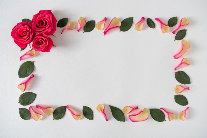 Creative border frame made with rose petals and leaves
