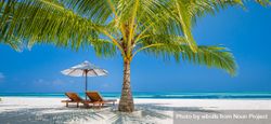 Lounge chairs on a beach under a palm tree 5lQRa4
