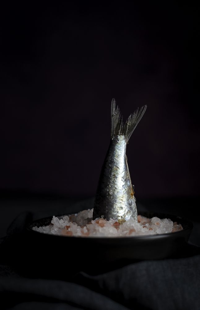 Tail of sardine in plate with salt