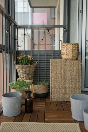 Balcony with potted plants