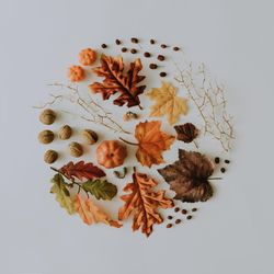 Autumnal leaves, branches and nuts in circle on light background