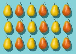 Three rows of pears