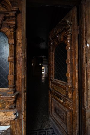 Elegant old wooden door in Tbilisi