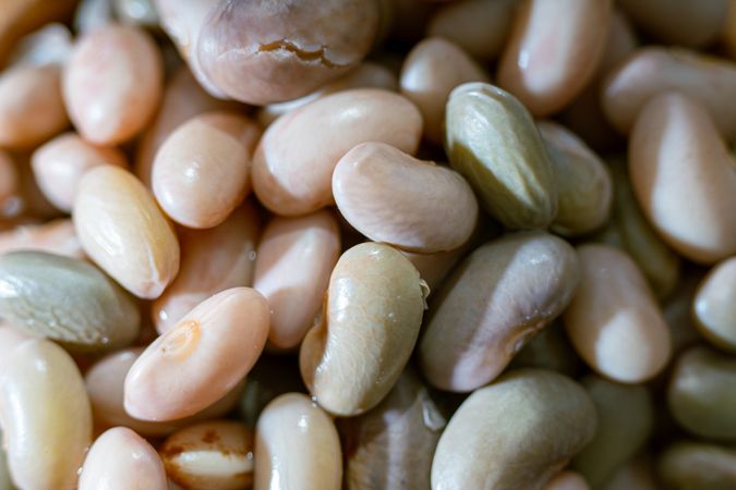 Boiled beans