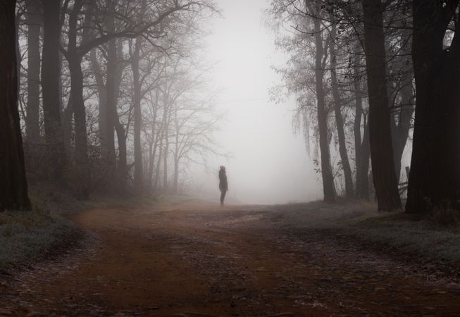Silhouette of person standing between trees surrounded by fog