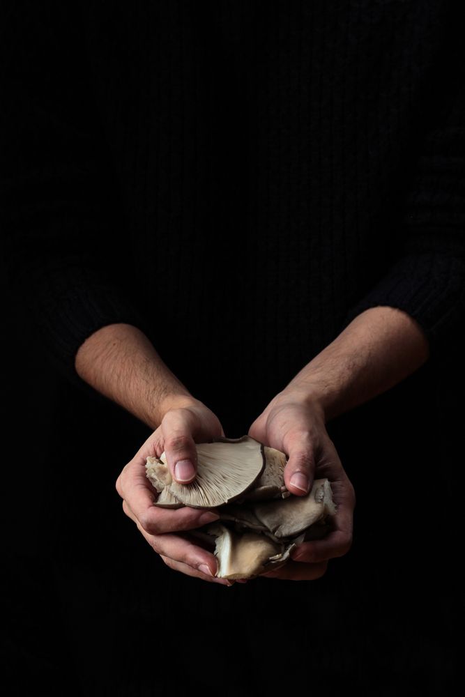 mushrooms in hands on black background