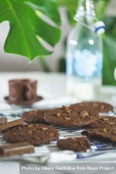 Chocolate cookies on cooling rack with milk jar in background 56B9P5