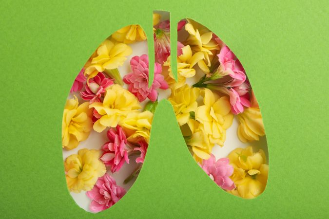 Lung shape cut out of green paper with flowers underneath, allergy concept