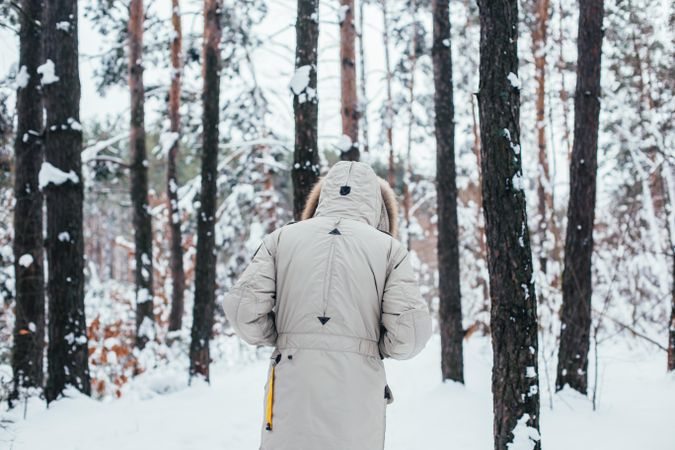 Rear shot of man in winter coat in snowy forest