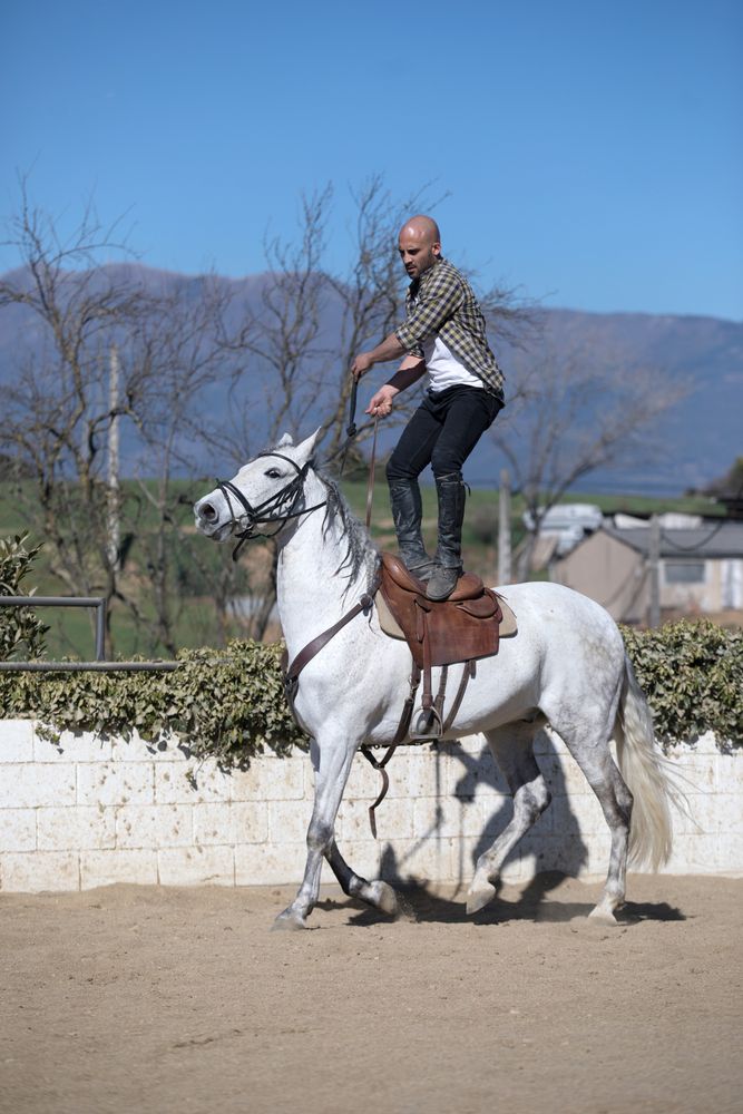 Man in checkered shirt standing up while riding horse