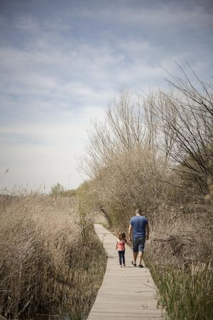 Man and little girl walking on a wooden walkway in a park on a sunny day, vertical