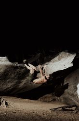 Man practicing rock climbing among large rocks in a forest