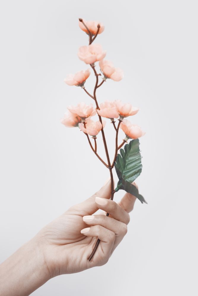 Hand with sakura