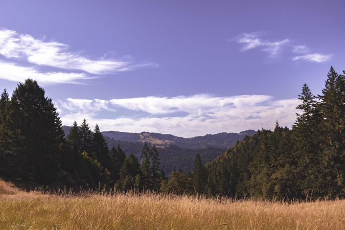 View of a mountain in summer time with clouds in the blue sky