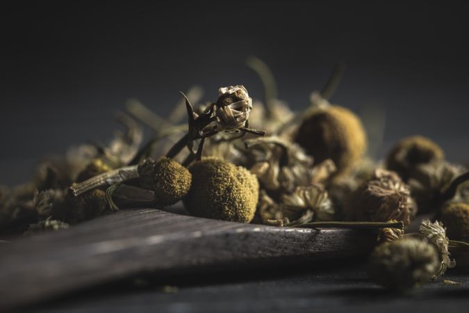 Spoonful of dried chamomile on wooden table