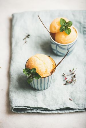 Fresh homemade grapefruit sorbet