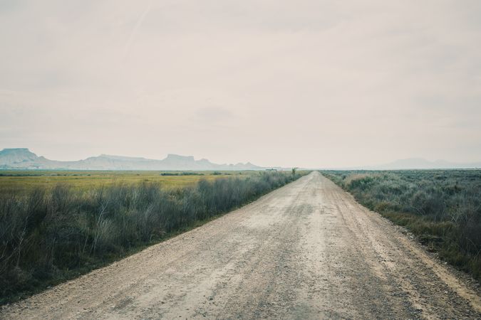 Empty road leading between fields with vegetation