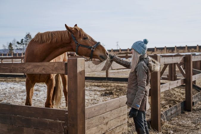 Warm dressed woman feeding brown horse by hay