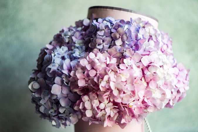 Fresh violet & pink summer floral gift