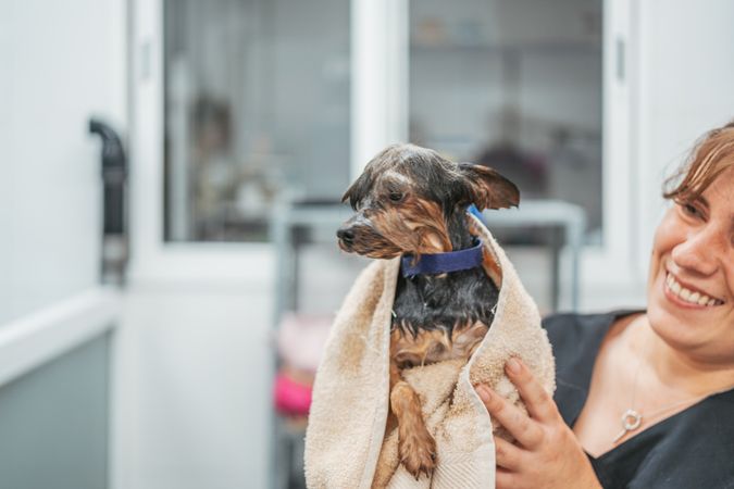 Close up dog in bathtub
