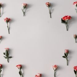 Colorful flowers pattern with copy space on light background