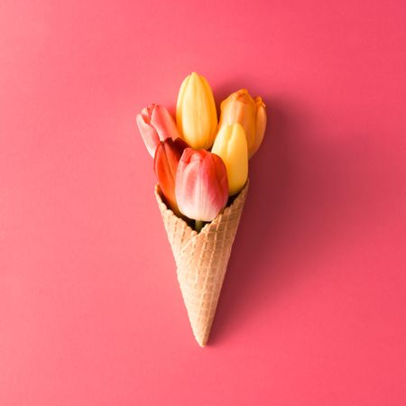 Ice cream cone with colorful tulips on pink background